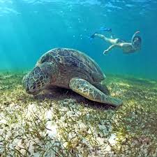 NOSY IRANJA NOSY BE SITE TOURISTIC, BEACH; trips; guide, MADAGASCAR